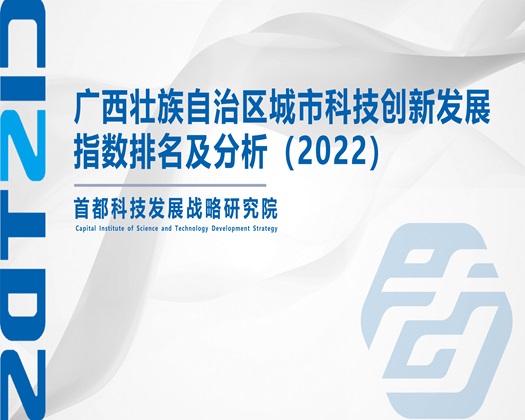 鸡巴肏屄视频【成果发布】广西壮族自治区城市科技创新发展指数排名及分析（2022）